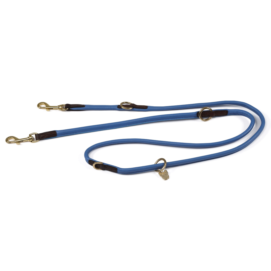 Shires Digby & Fox Rolled Leather Training Lead