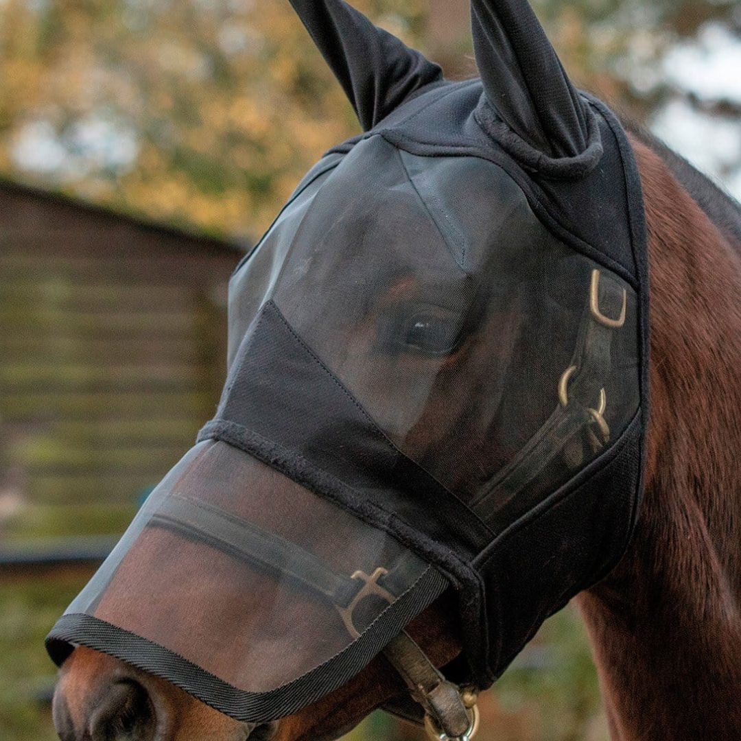 Mark Todd Padded Full Face Fly Mask