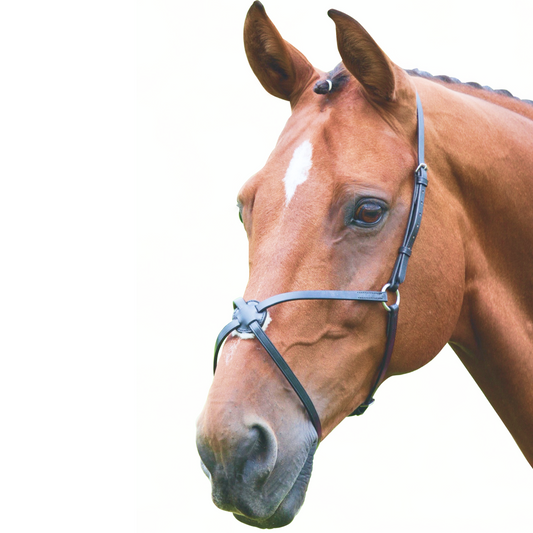 SHIRES VELOCITI GARA BANDA MEXICANA MEXICAN