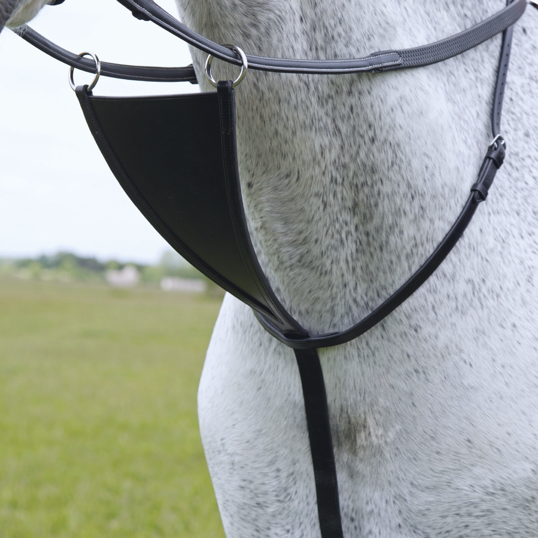 SHIRES VELOCITI GARA BIB MARTINGALE