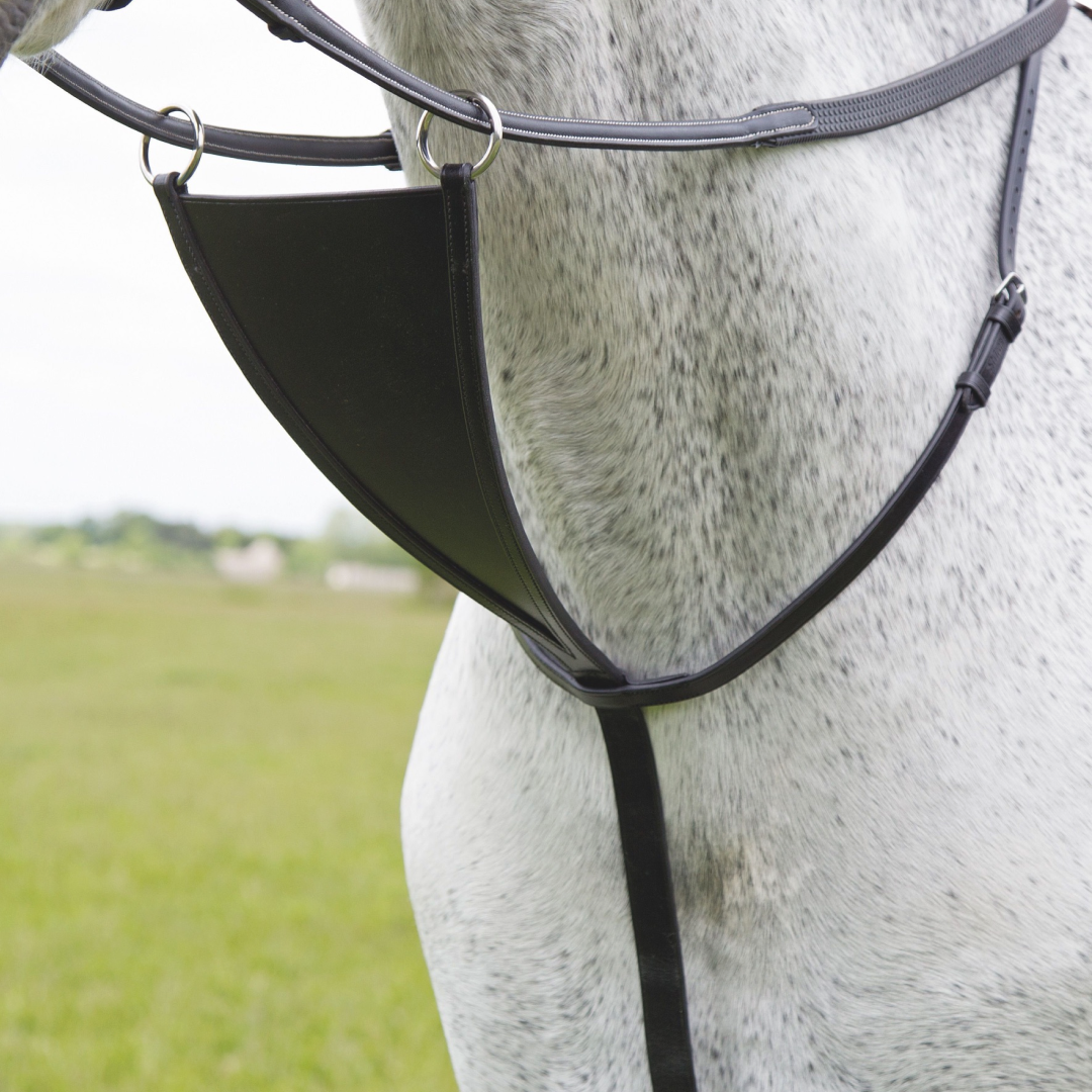 SHIRES VELOCITI GARA BIB MARTINGALE