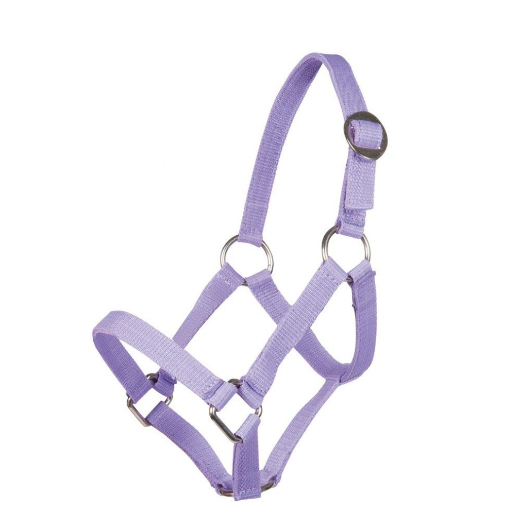 HKM Head Collar for Mini-Shetty