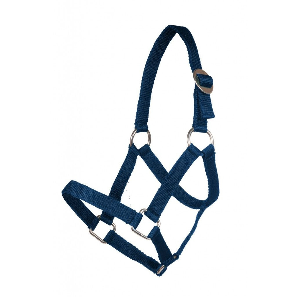 HKM Head Collar for Mini-Shetty