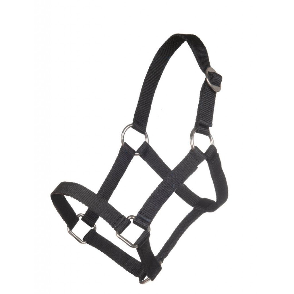 HKM Head Collar for Mini-Shetty