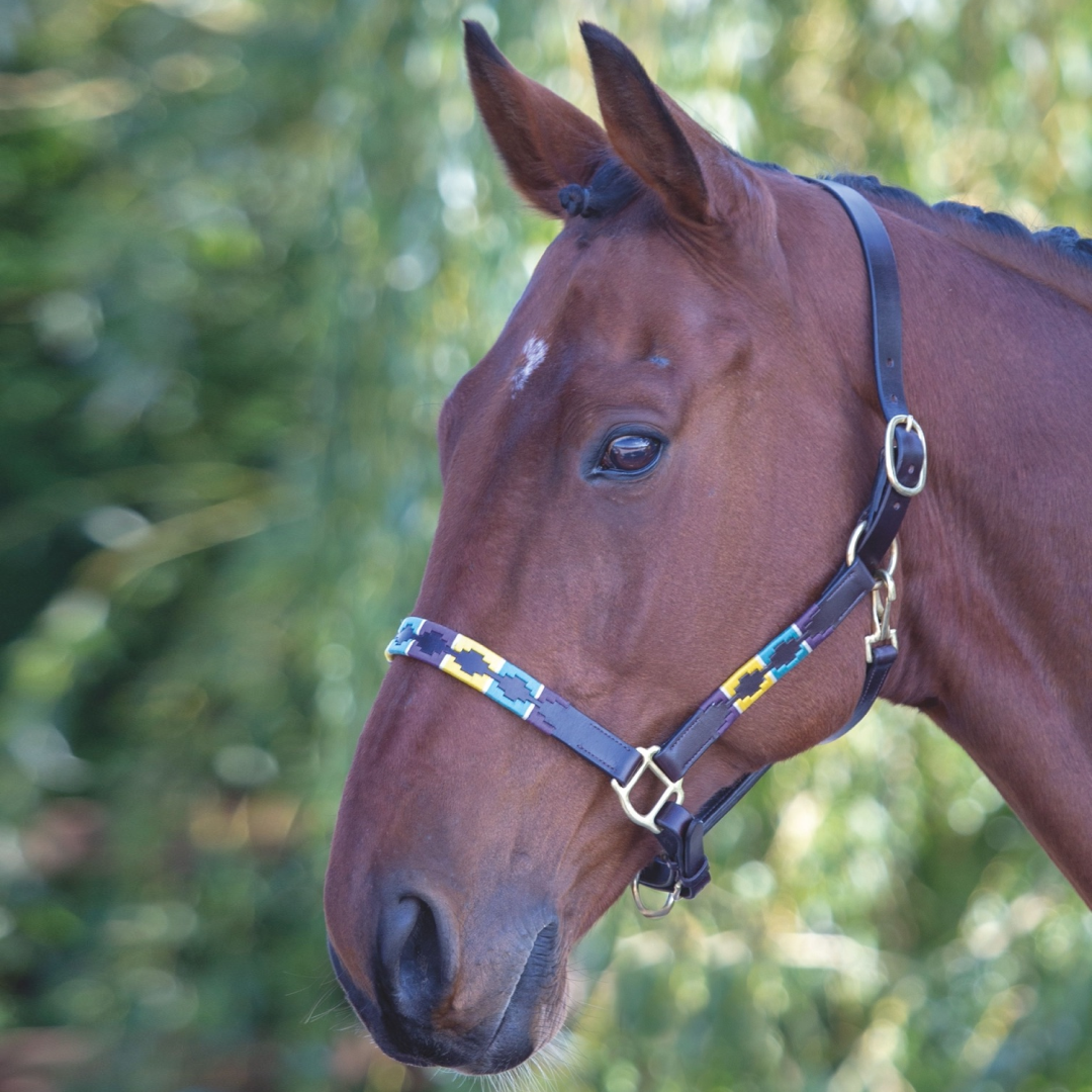 Shires Velociti GARA Leather Polo Headcollar