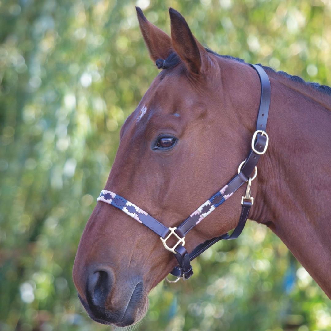Shires Velociti GARA Leather Polo Headcollar