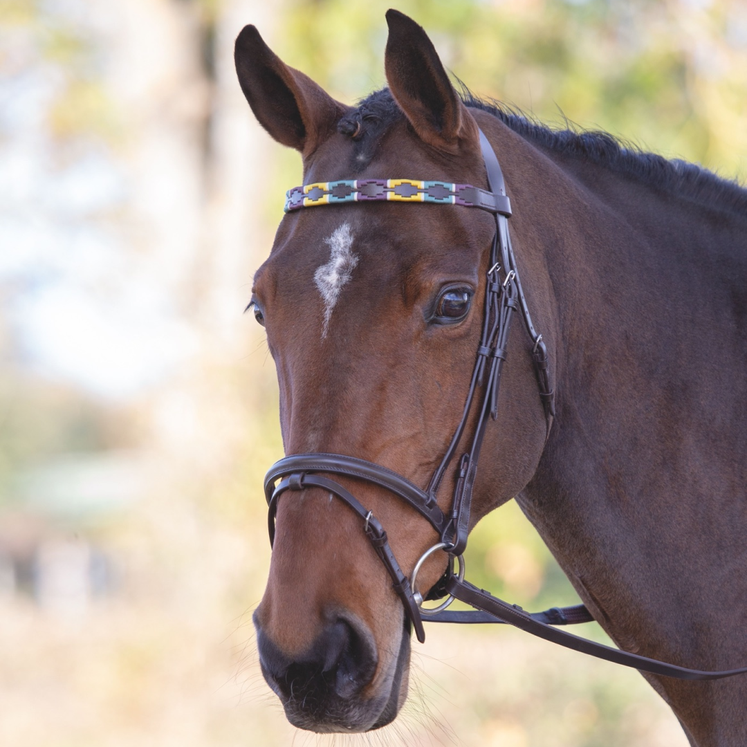 Shires Velociti GARA Leather Polo Browband