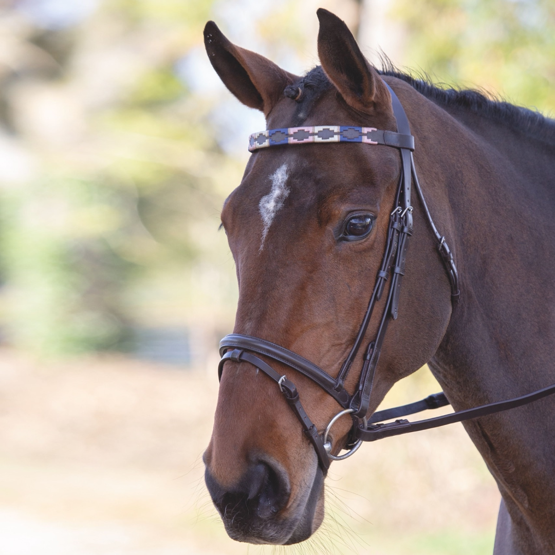 Shires Velociti GARA Leather Polo Browband