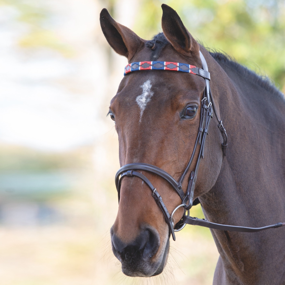Shires Velociti GARA Leather Polo Browband