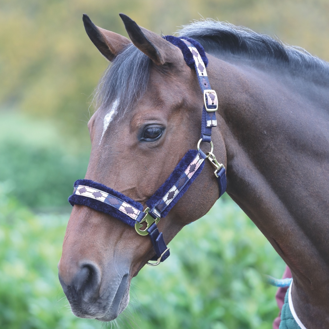Shires Fleece Lined Polo Headcollar