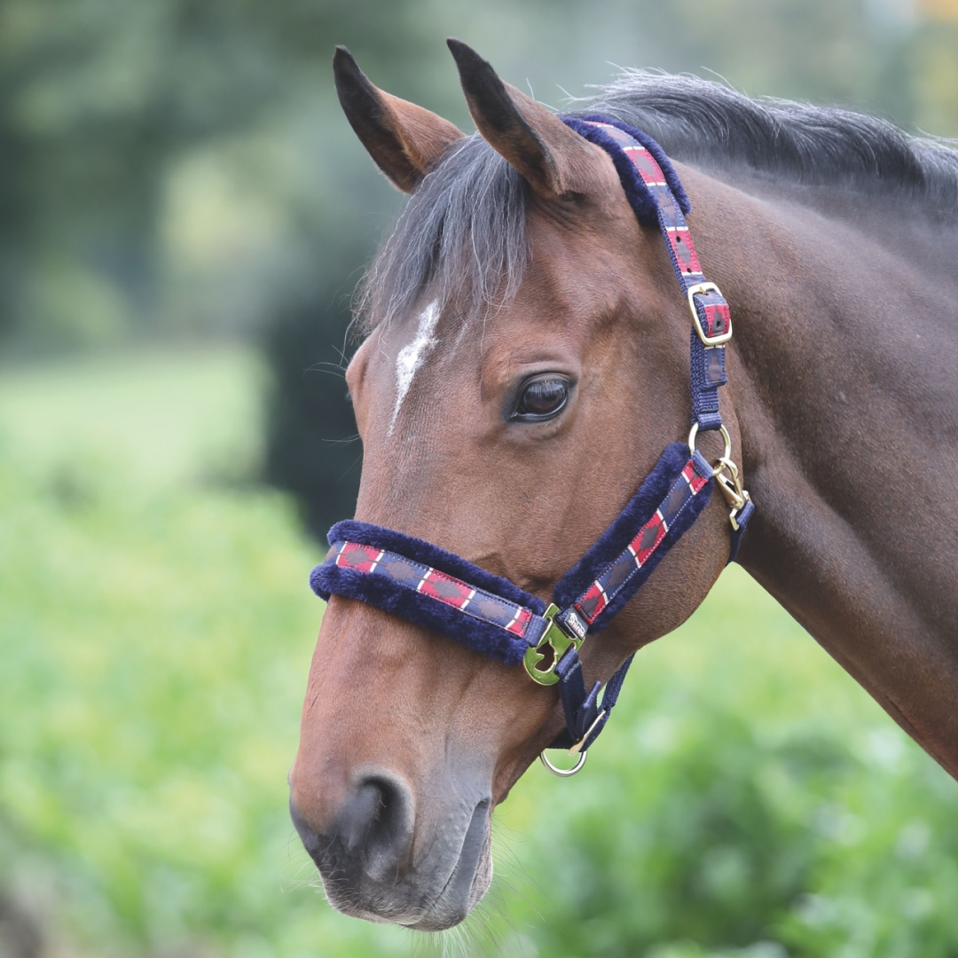 Shires Fleece Lined Polo Headcollar