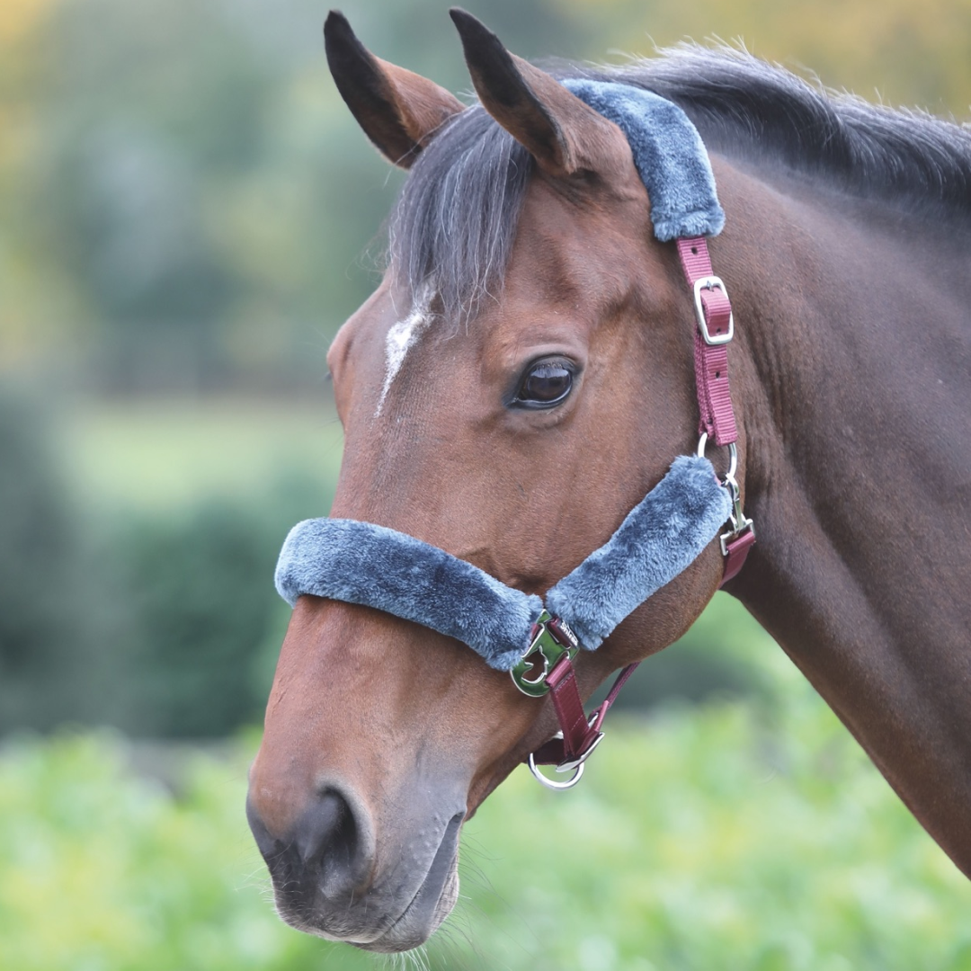 Shires Fleece Lined Headcollar