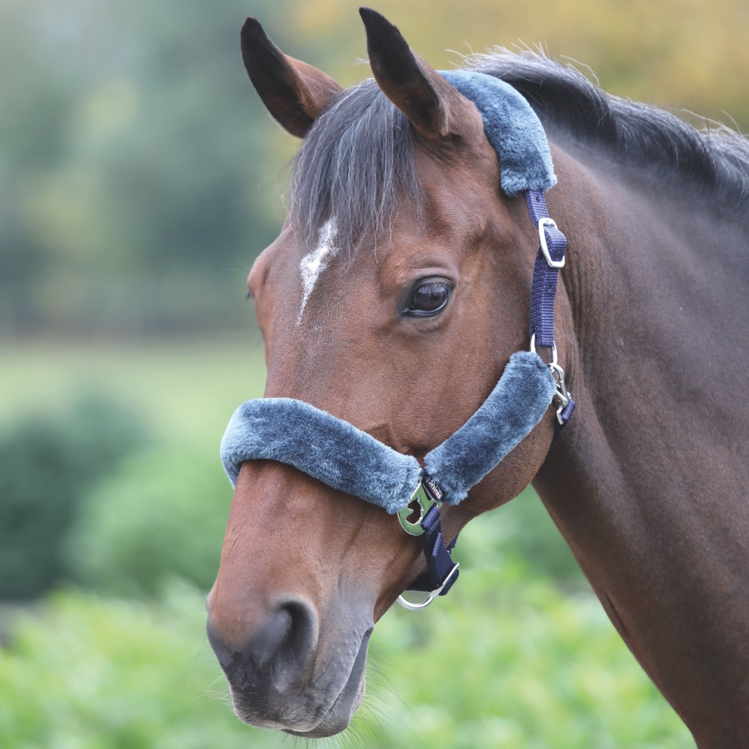 Shires Fleece Lined Headcollar