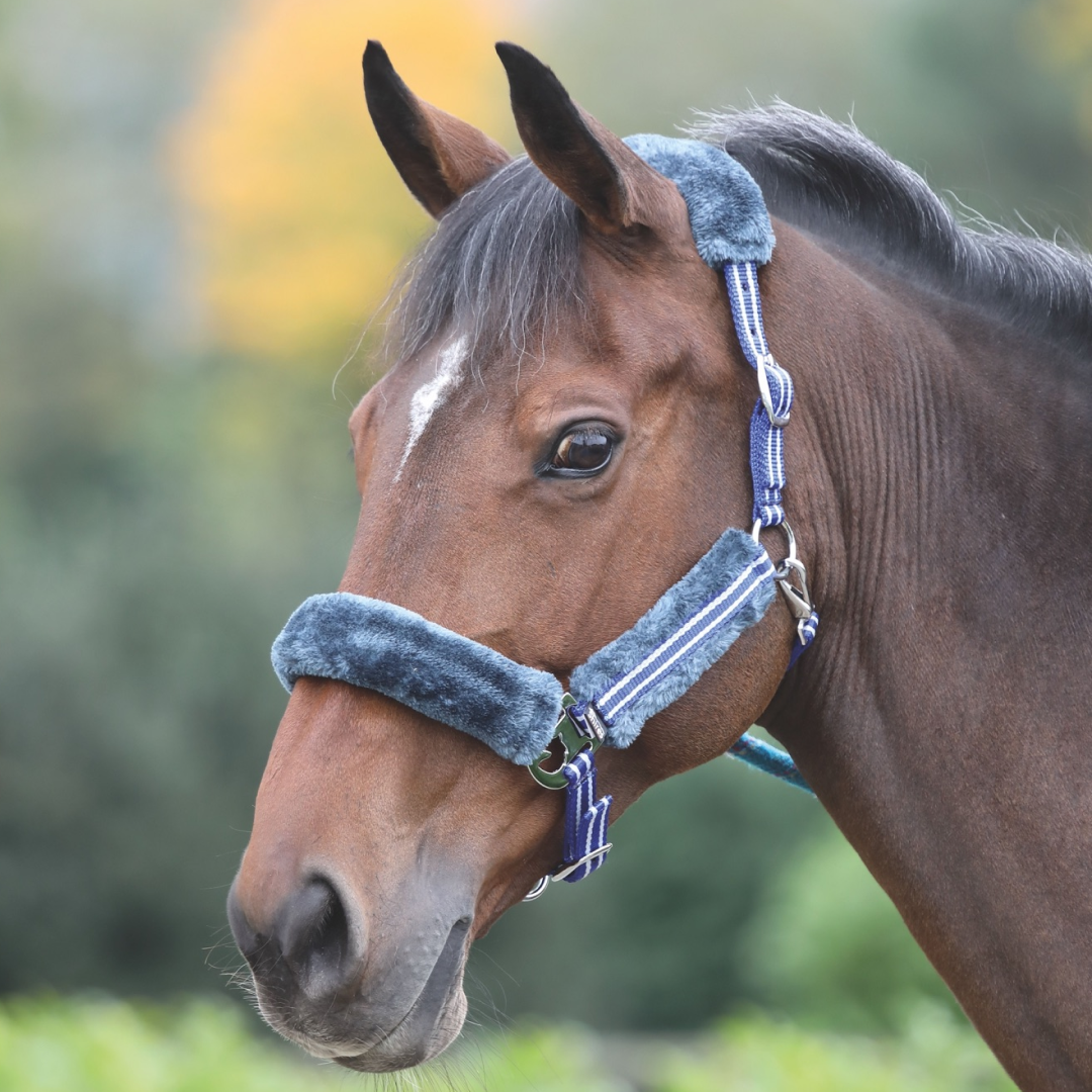 Shires Fleece Lined Striped Headcollar