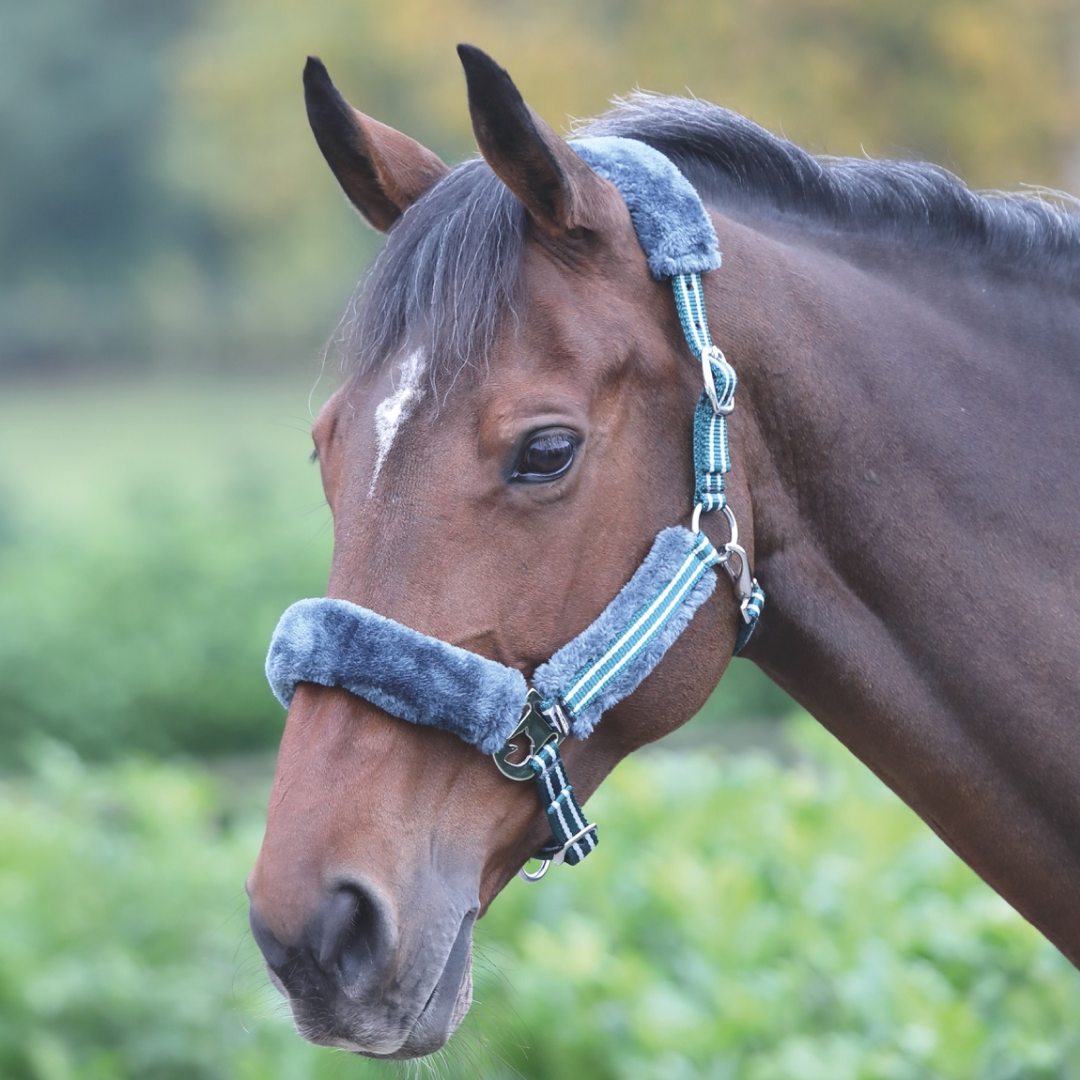 Shires Fleece Lined Striped Headcollar