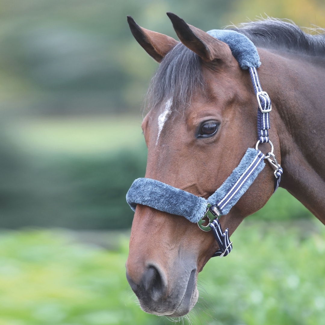 Shires Fleece Lined Striped Headcollar