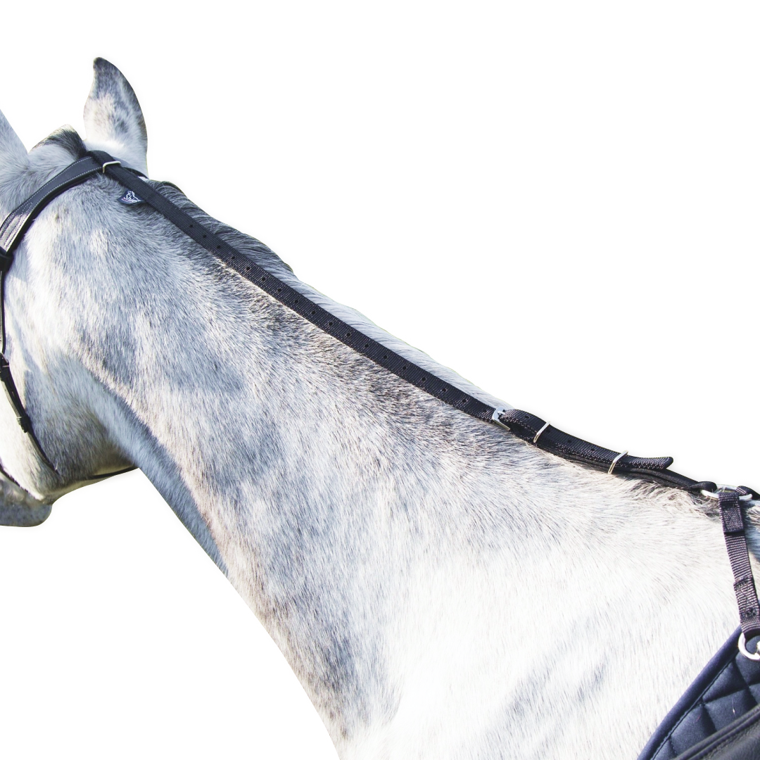 Shires Daisy Rein