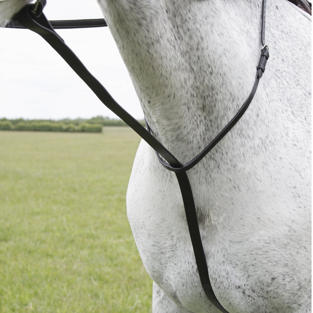 Shires Velociti GARA Standing Martingale