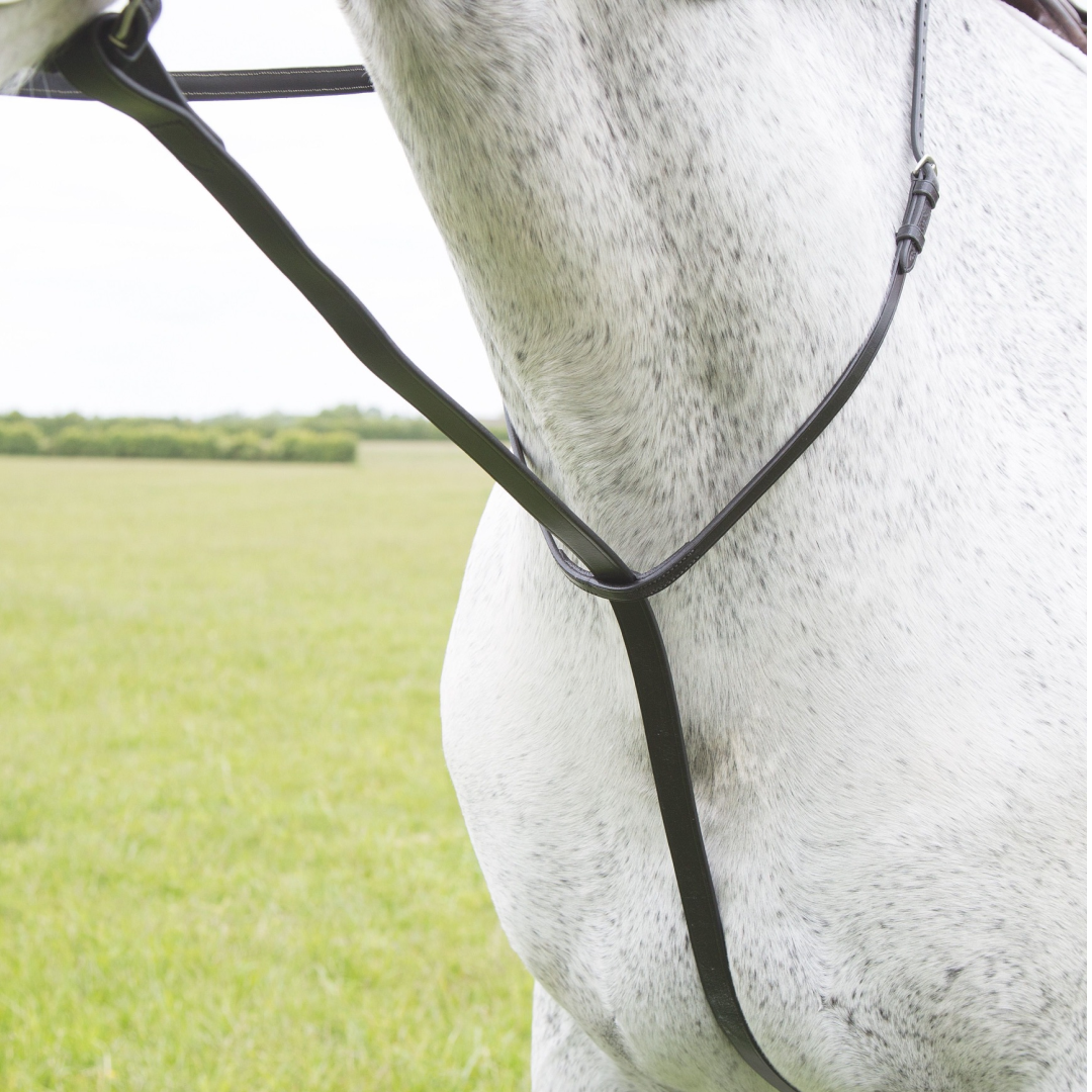 Shires Velociti GARA Standing Martingale