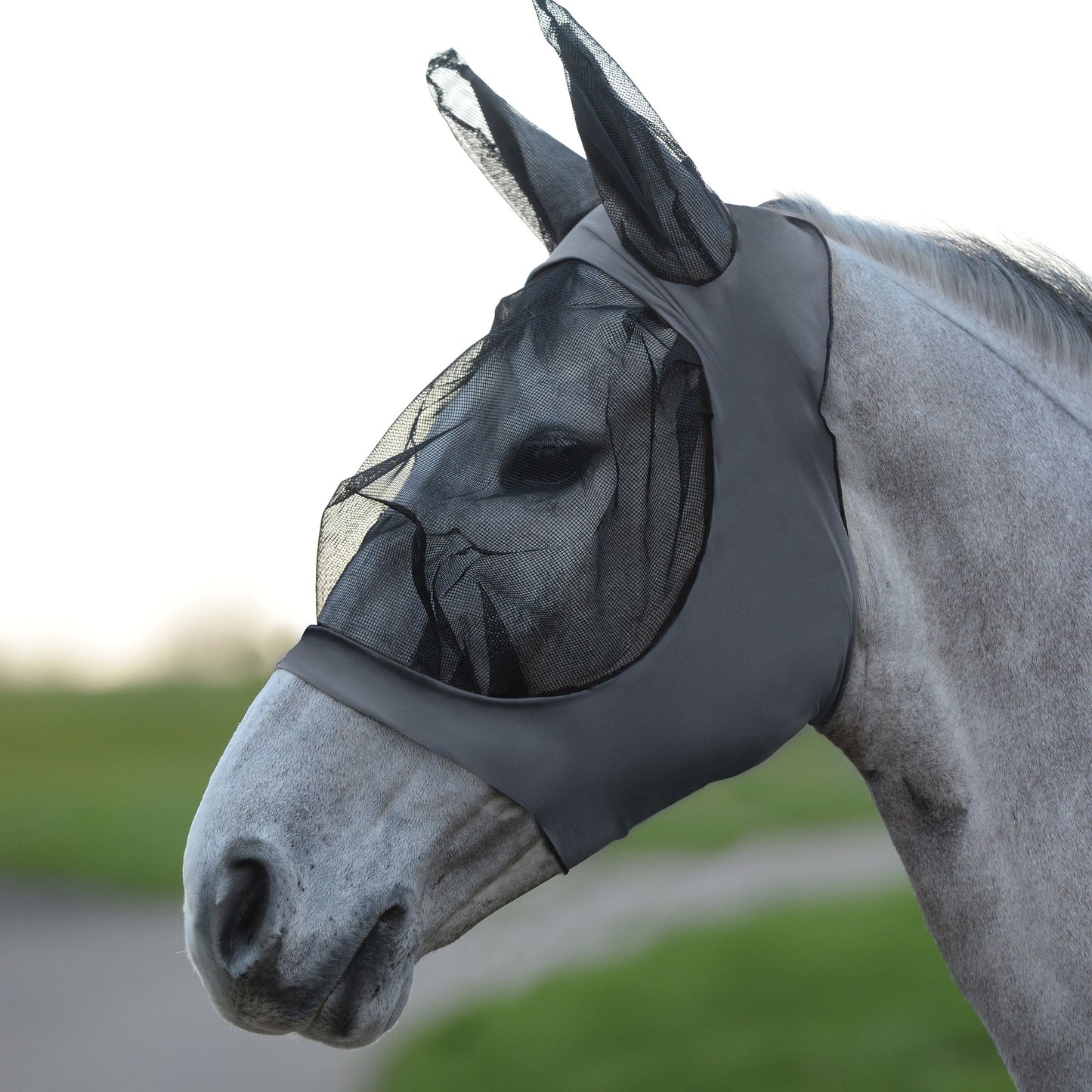 WeatherBeeta Stretch Eye Saver with Ears