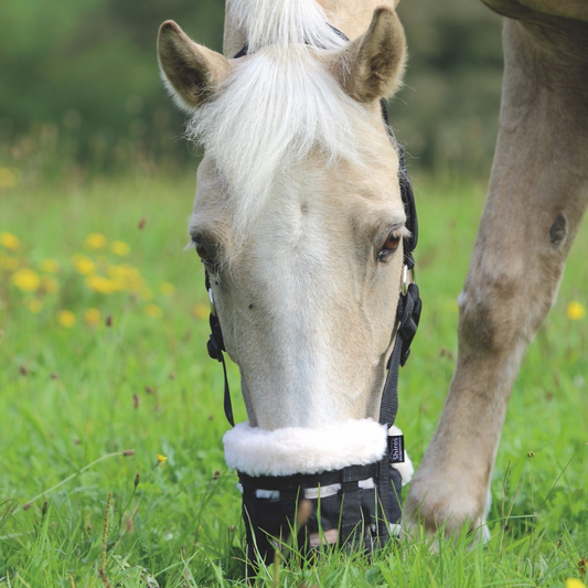 Shires Deluxe Comfort Pasting Hocus