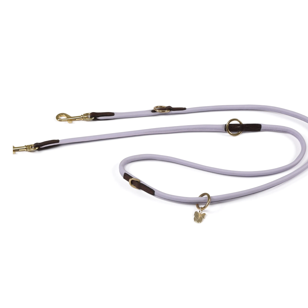 Shires Digby & Fox Rolled Leather Training Lead