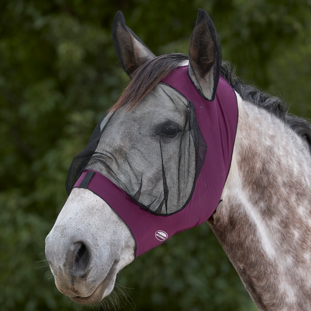 Weatherbeeta Deluxe Stretch Eye Saver With Ears