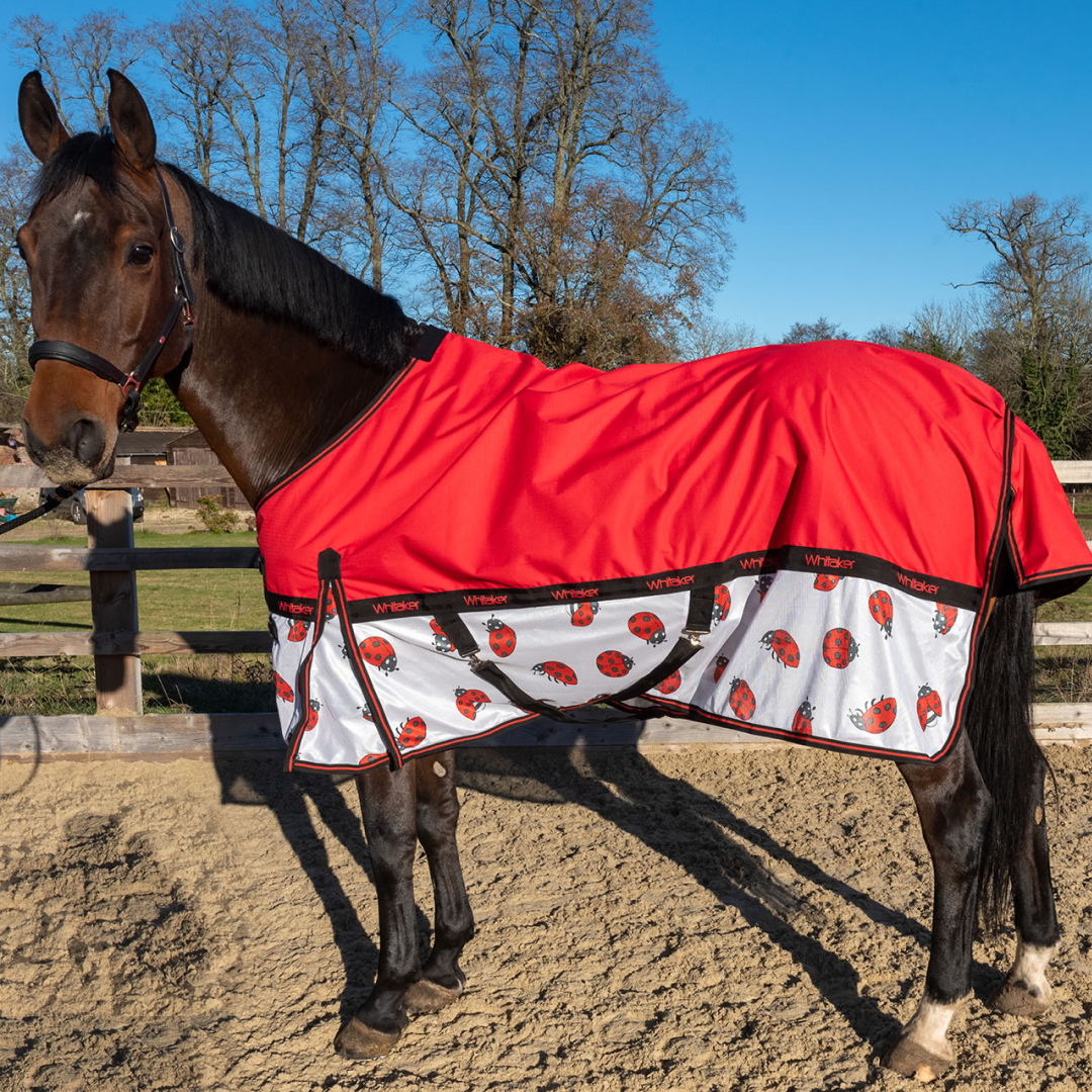 Whitaker Ladybird Airflow Turnout Rug