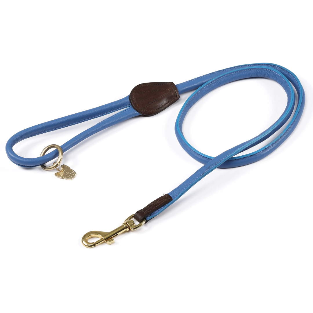 Shires Digby & Fox Rolled Leather Dog Lead