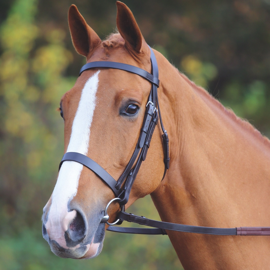 SHIRES Velociti Gara Plain Bridle