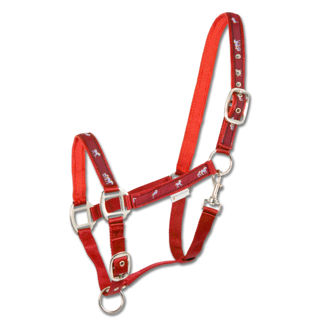 Waldhausen Little Horse Halter