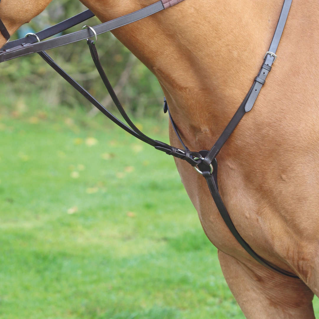 SHIRES Velociti Gara Hunt Peso de peso