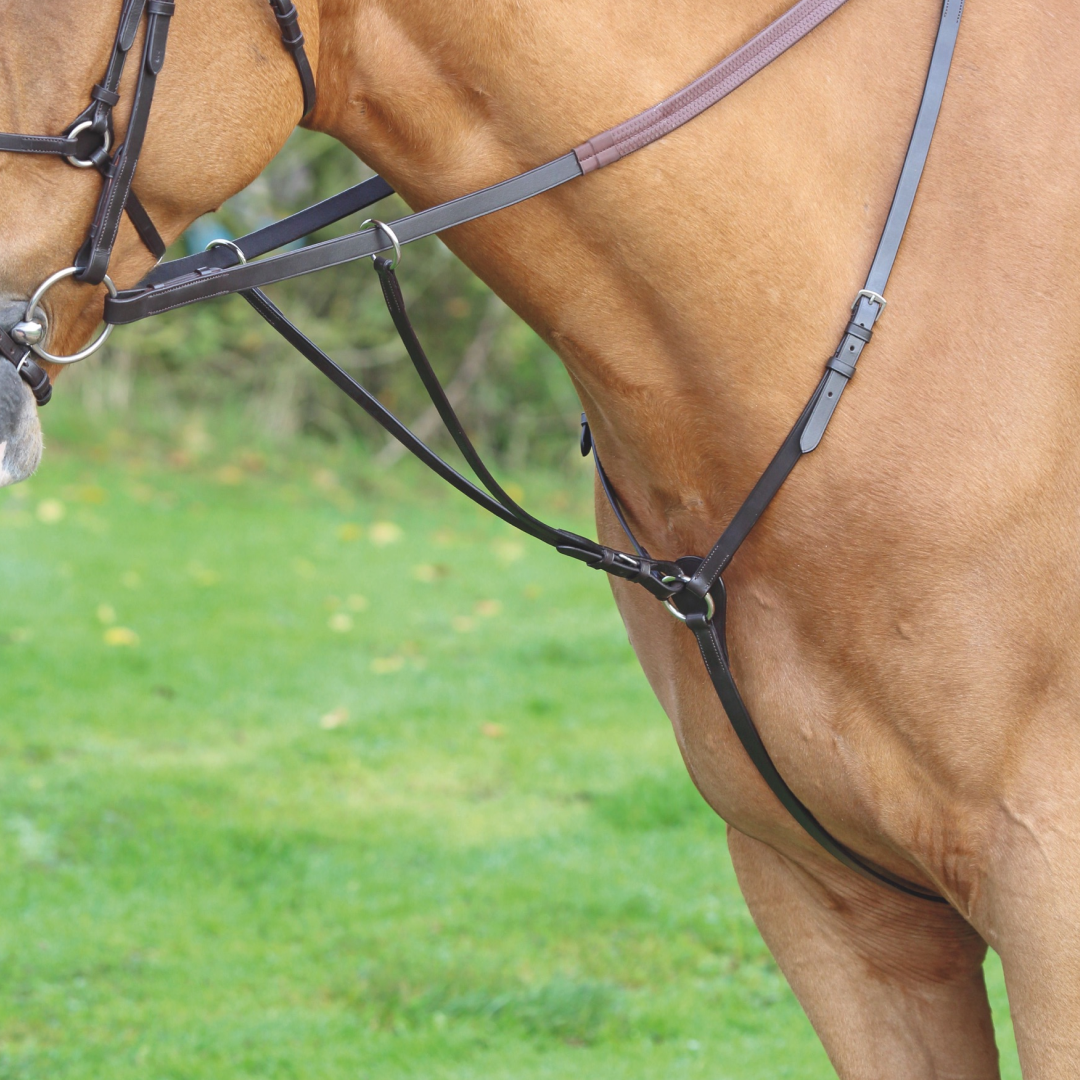 SHIRES Velociti Gara Hunt Peso de peso