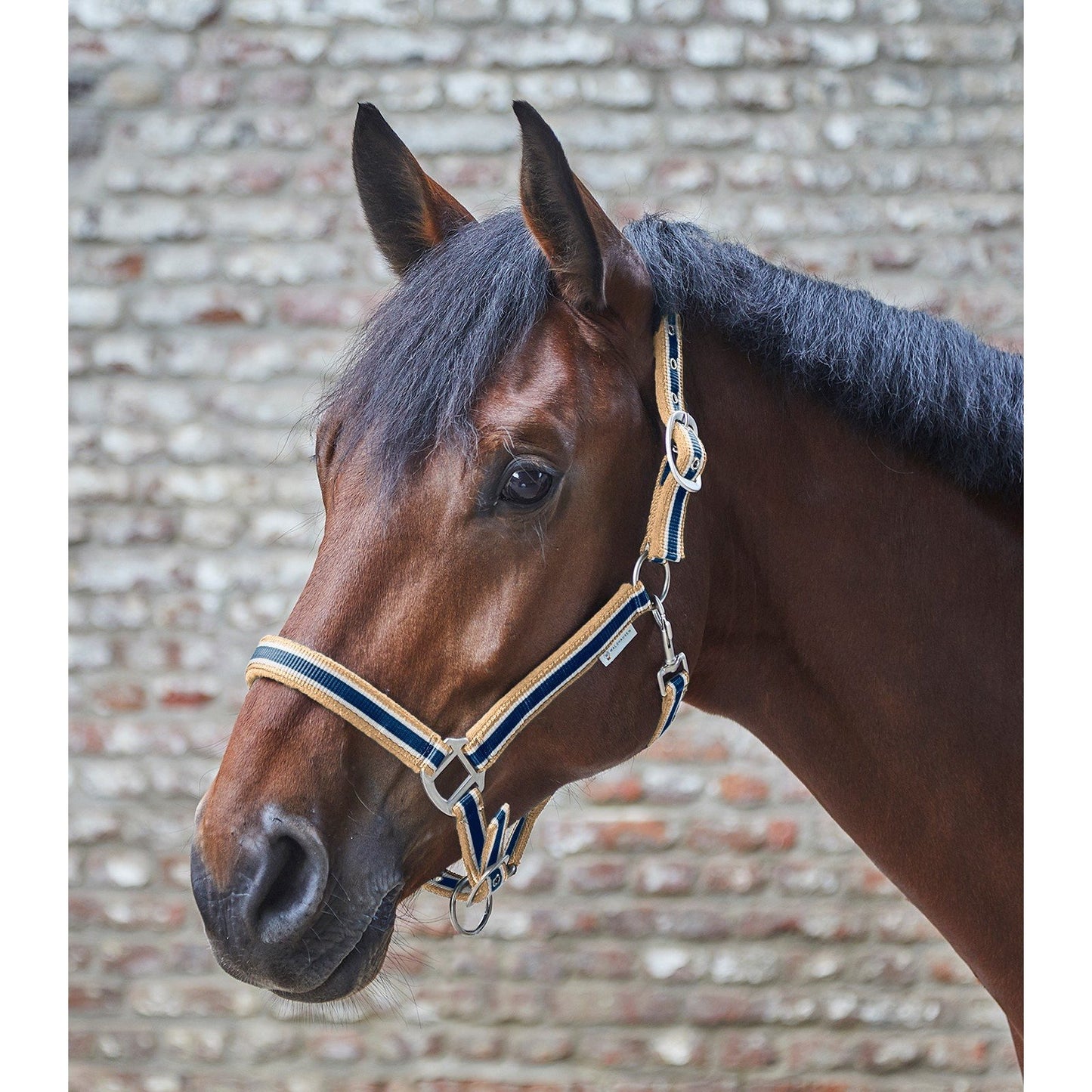 Waldhausen Esperia Halter