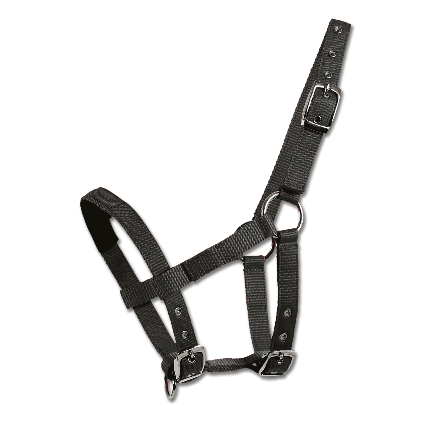 Waldhausen Halter for Mini Shetty