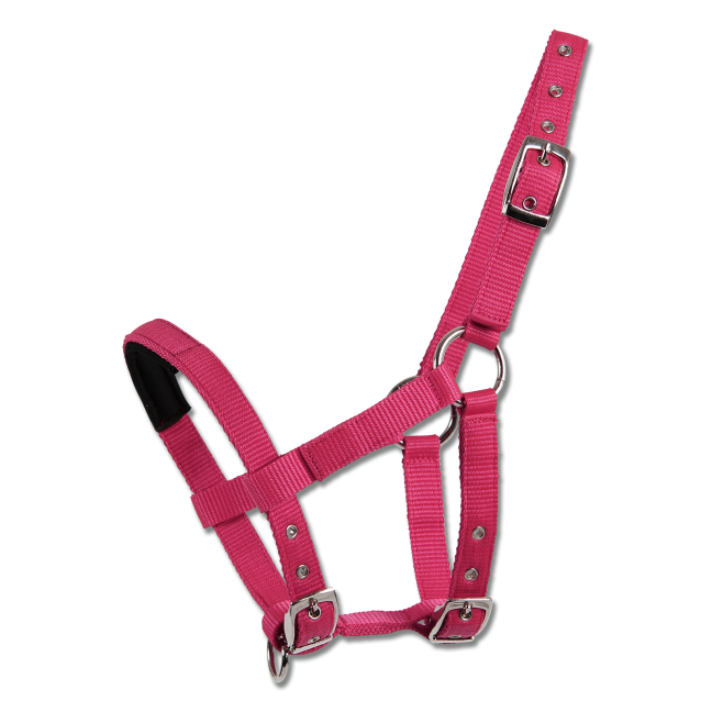 Waldhausen Halter for Mini Shetty