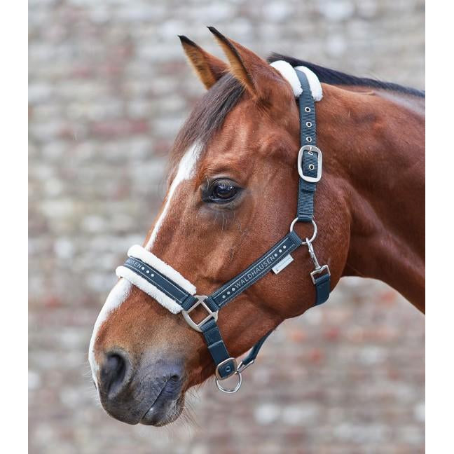 Waldhausen Elegant Halter