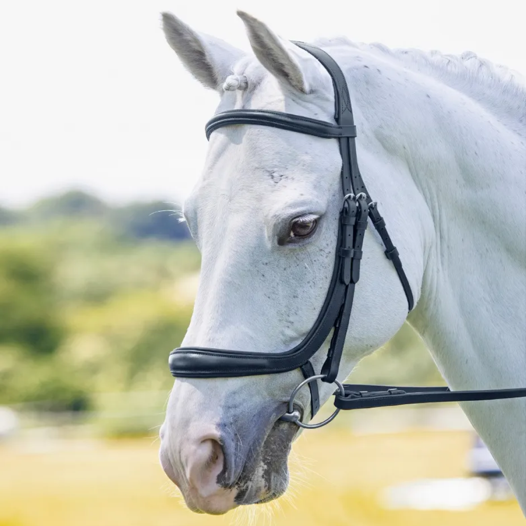 Shires Velociti RAPIDA Ergonomic Curved Cavesson Bridle