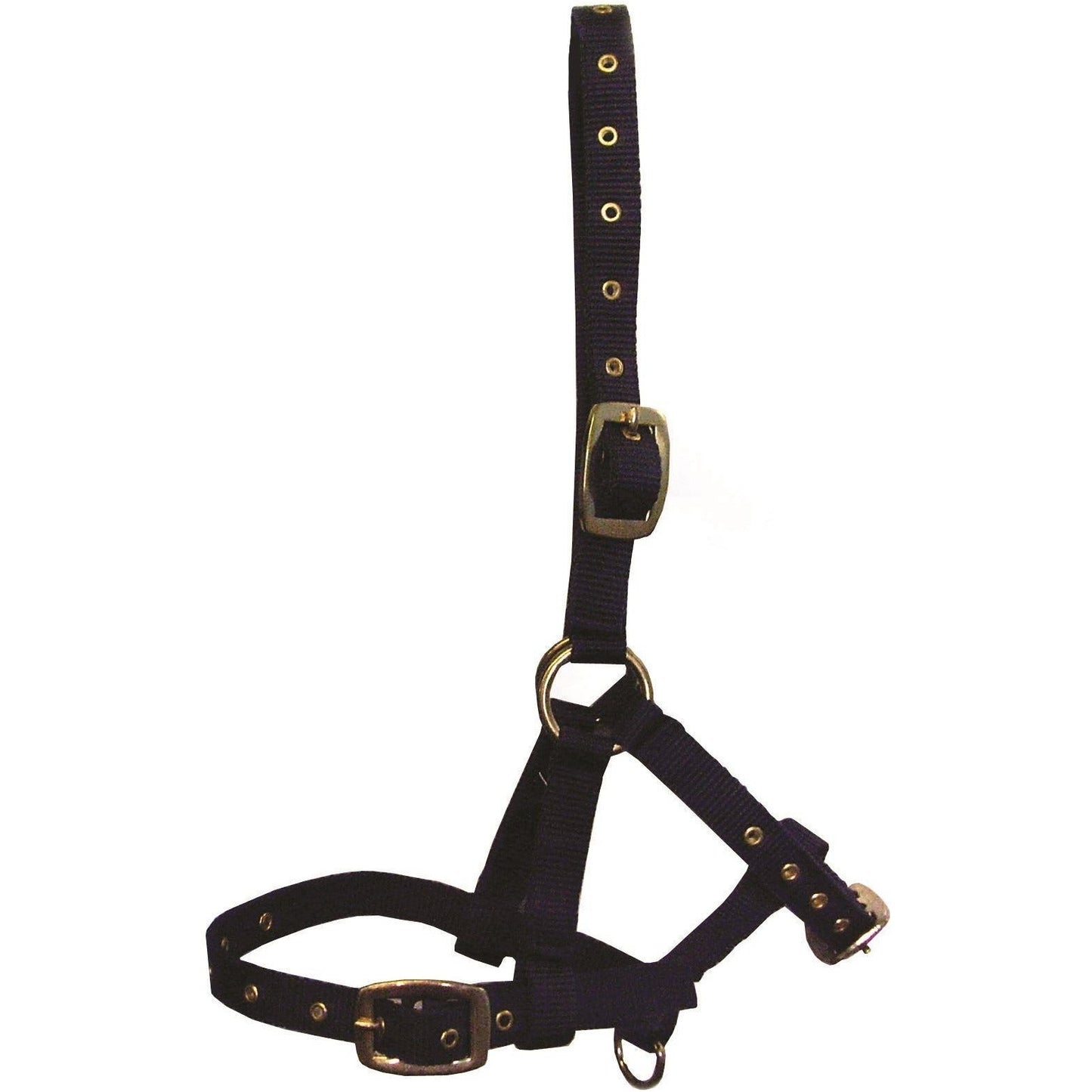 Hy Foal Head Collar