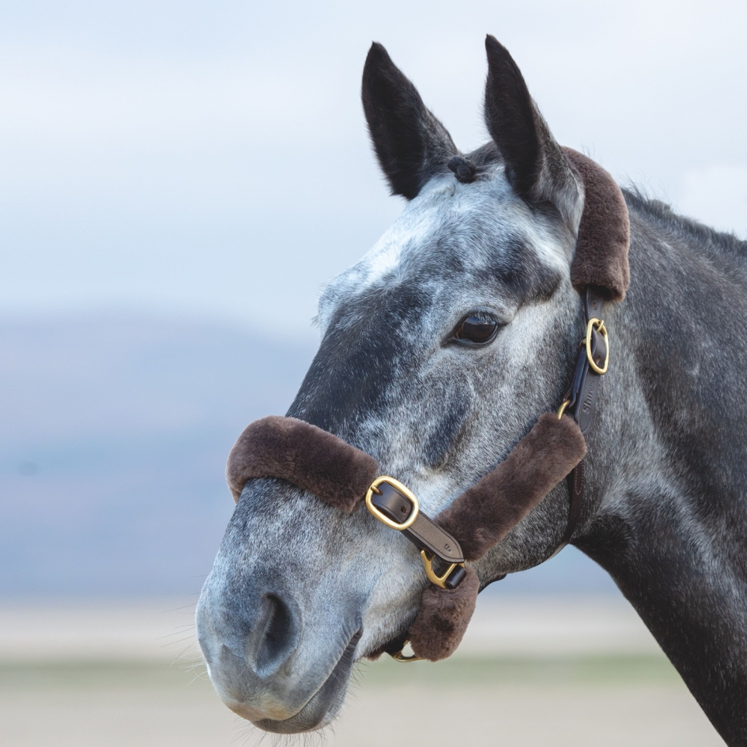 Shires ARMA SupaFleece Halter Sleeves