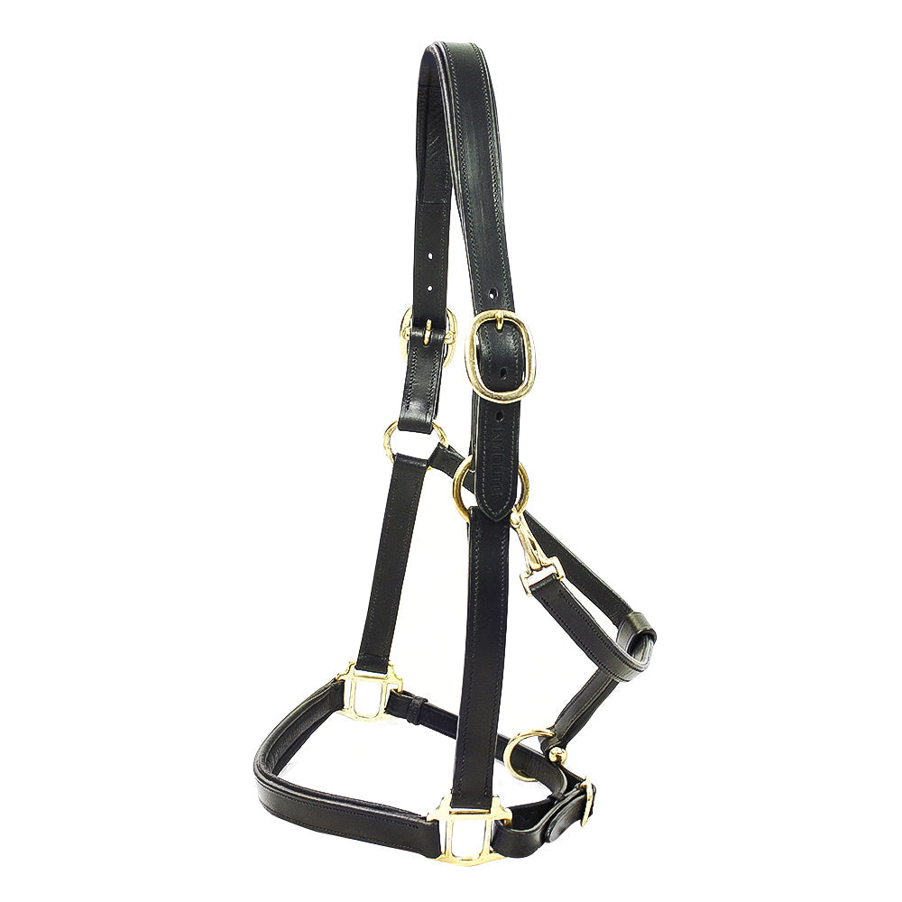 Primera Padded Leather Headcollar