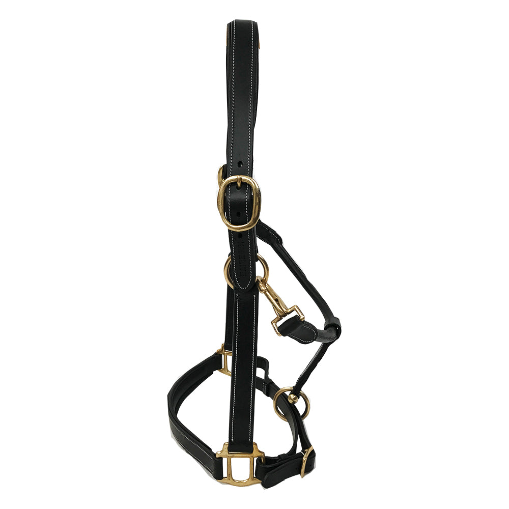 Primera Padded Leather Headcollar
