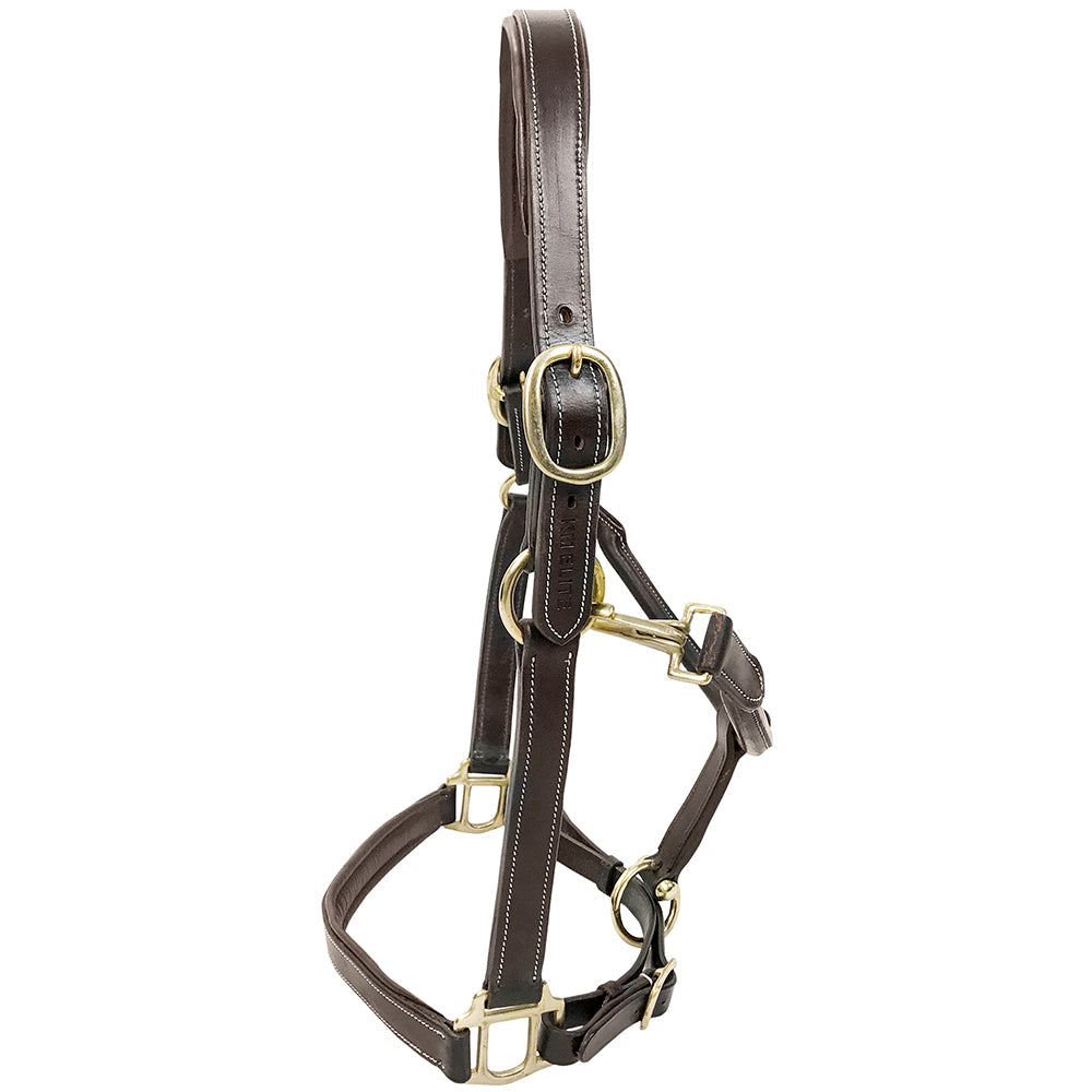 Primera Padded Leather Headcollar