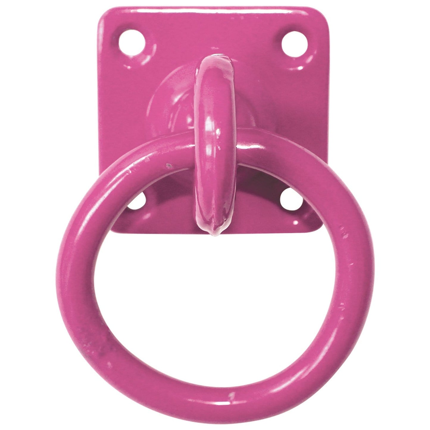 Perry Equestrian Swivel Tie Ring on Plate