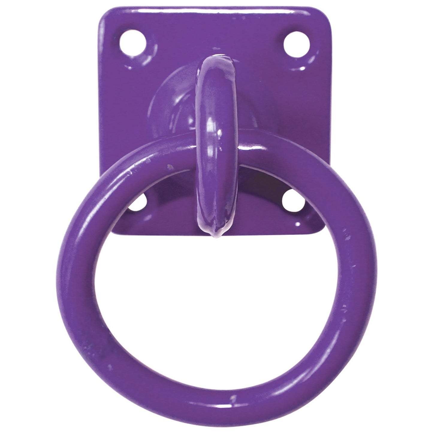 Perry Equestrian Swivel Tie Ring on Plate