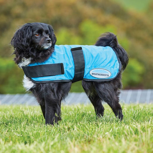 Weatherbeeta Therapy-Tec Cooling Dog Coat