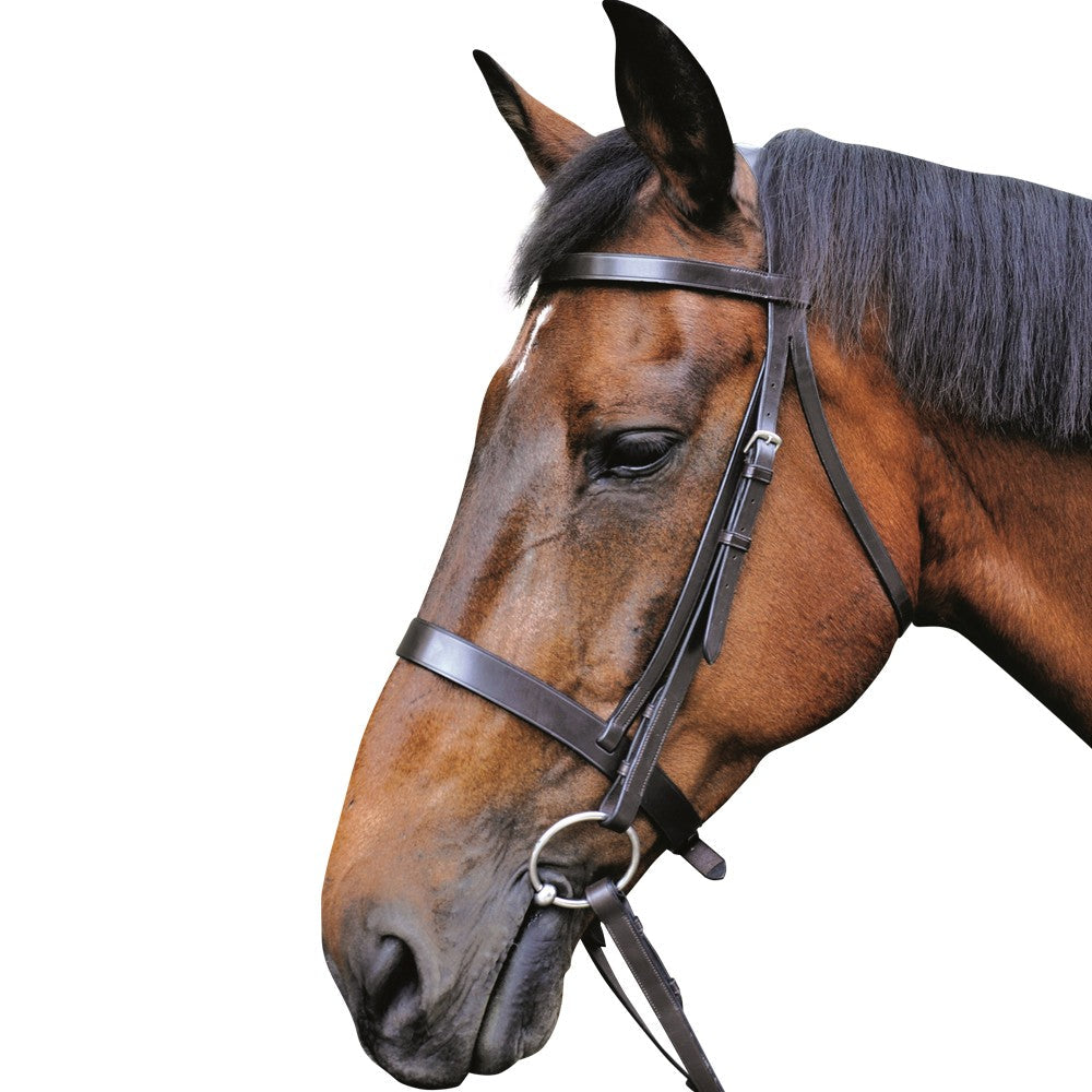 Mark Todd Hunter Bridle
