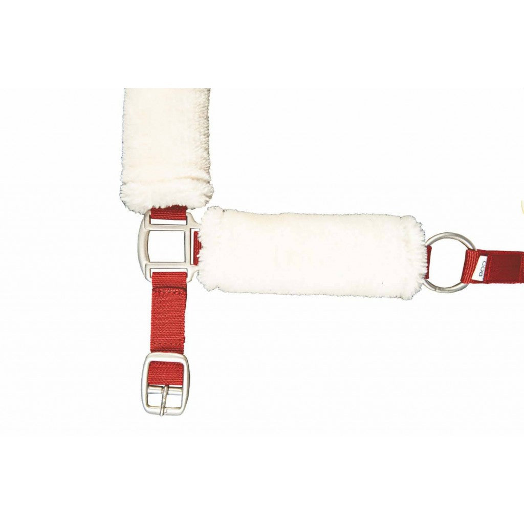 HKM Head Collar -North Pole- With Teddy Lining