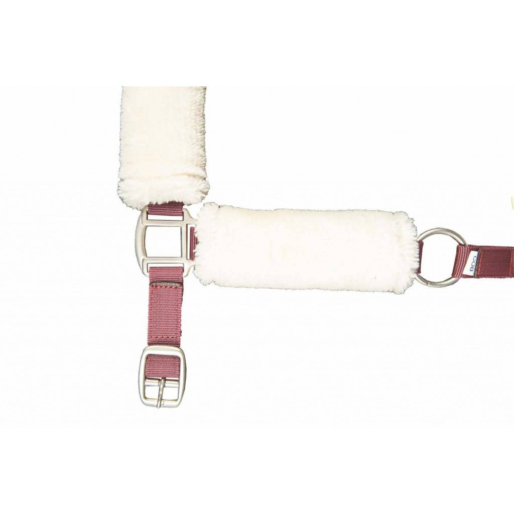 HKM Head Collar -North Pole- With Teddy Lining