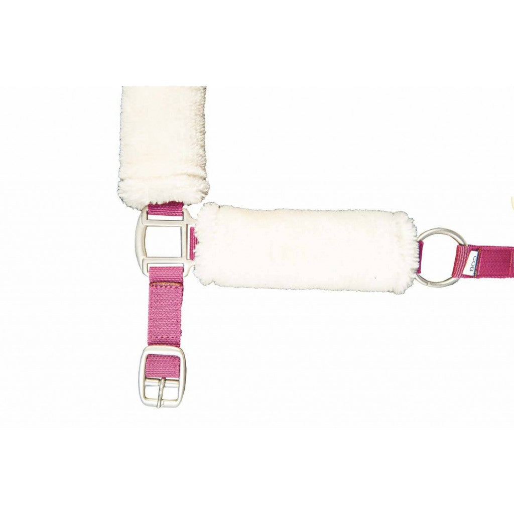 HKM Head Collar -North Pole- With Teddy Lining